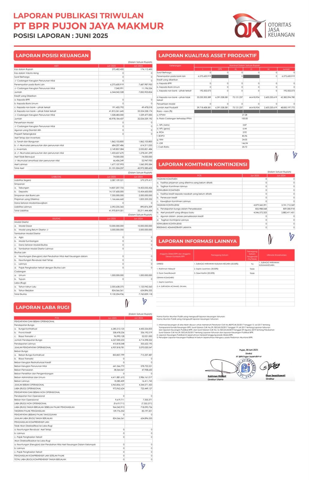 Laporan Publikasi triwulan juni 2025